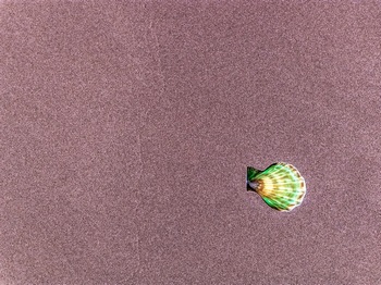N 039A